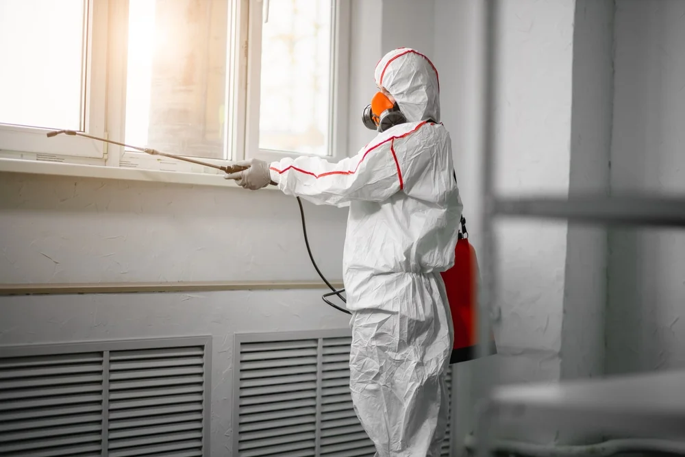 Professional mold remediation services in Buffalo Grove, IL